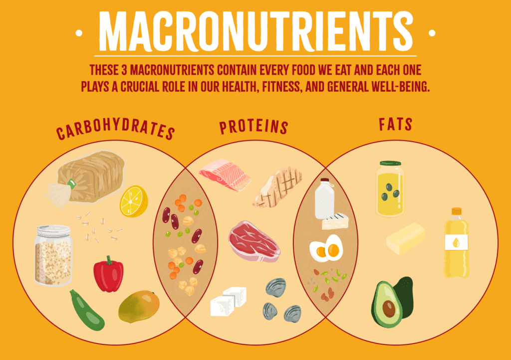 Understanding Macros for Cutting or Bulking: A Practical Guide